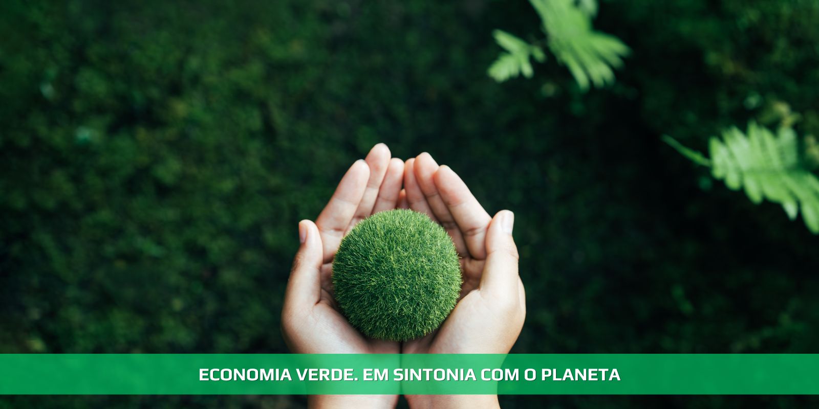 ECONOMIA VERDE. O FUTURO E A NATUREZA AGRADECEM
